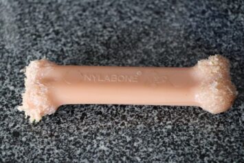 Nylabone after a couple of months use.