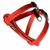 Ezydog Convert Dog Harness