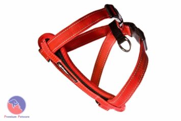 Ezydog Chest Plate Dog Harness