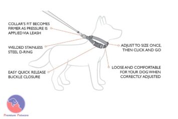 Ezydog Checkmate Training Collar