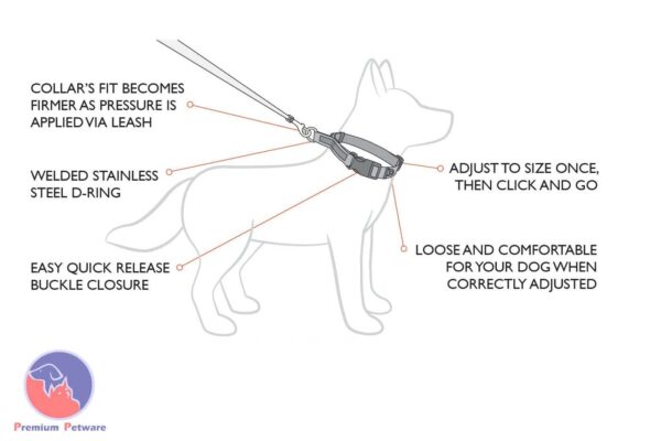 Ezydog Checkmate Training Collar