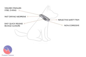 Ezydog Neo Classic Collar