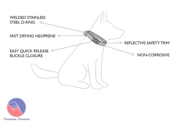 Ezydog Neo Classic Collar
