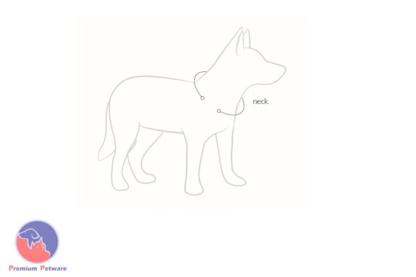 Ezydog Neo Classic Wide Collar