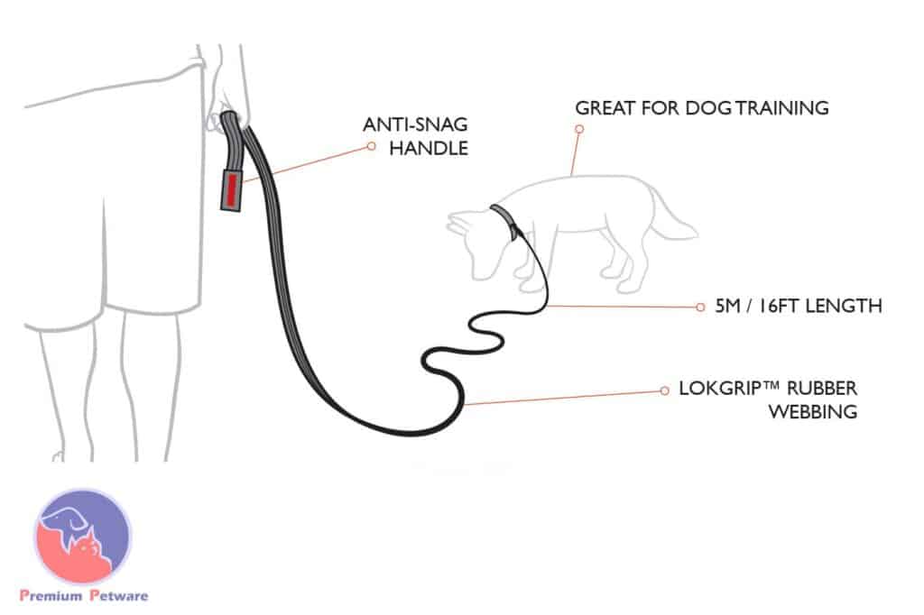 Ezydog Track n Train Leash