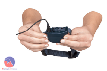 Petsafe Rechargeable Spray Bark Collar