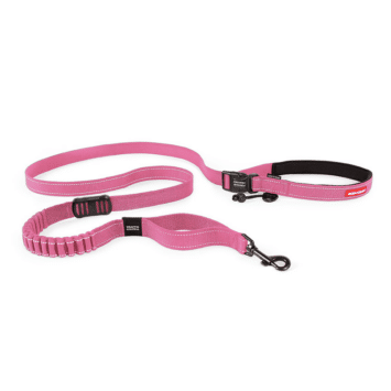 EzyDog Road Runner Leash