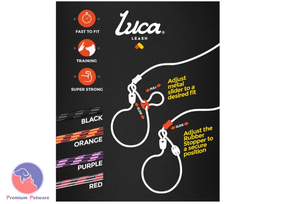 Ezydog Luca All in One Slip Leash