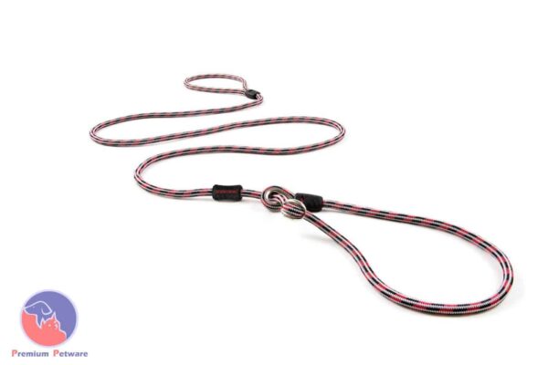 Ezydog Luca All in One Slip Leash