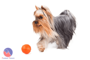 Liker Ball