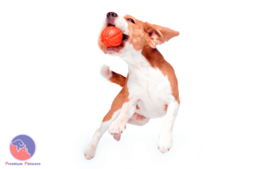 Liker Ball