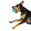 Planet Dog Orbee-Tuff Diamond Plate Ball,Diamond Plate Ball,Orbee,Planet Dog Toys,Orbee Tuff Ball,Tough Ball for Dogs