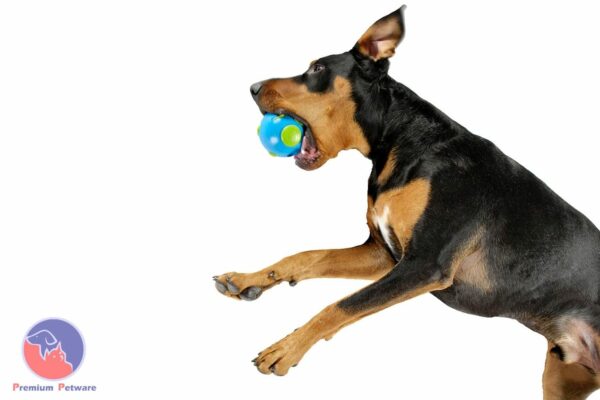 Planet Dog Orbee-Tuff Orbee Ball