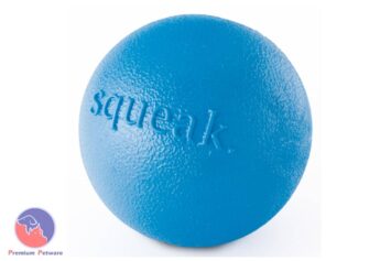 Planet Dog Orbee-Tuff Squeak Ball