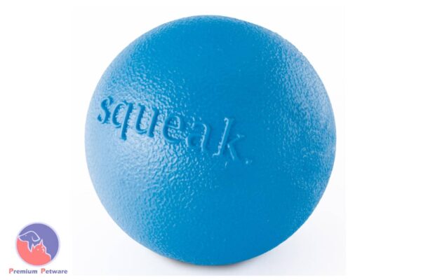Planet Dog Orbee-Tuff Squeak Ball