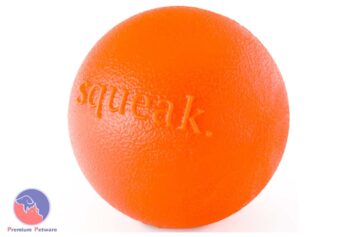 Planet Dog Orbee-Tuff Squeak Ball