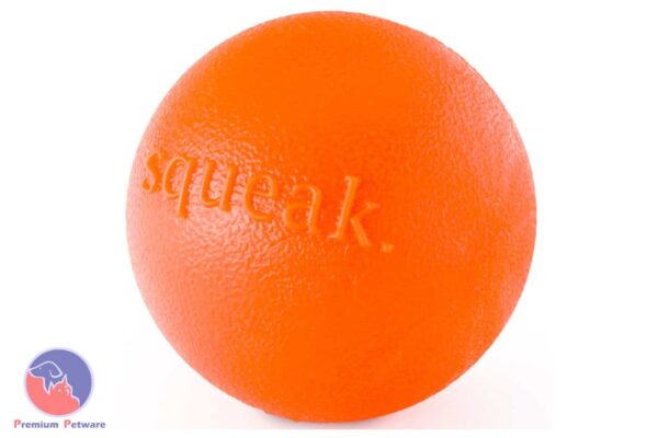 Planet Dog Orbee-Tuff Squeak Ball
