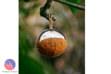 Topflite Wild Bird Coconut Feeder