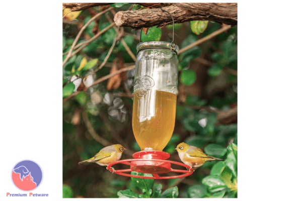 Topflite Nectar Feeder