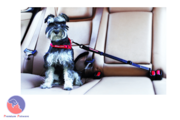 Ezydog Click Adjustable Car Seat Belt Attachment