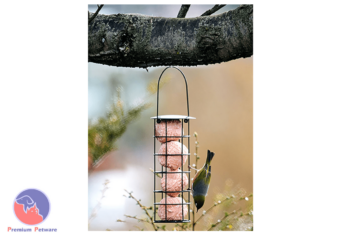 Topflite Wild Bird Energy Truffles