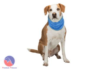 Trixie Cooling Bandana For Dogs