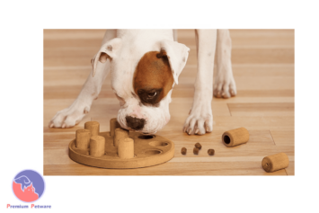 Outward Hound Dog Smart - Composite