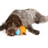 WEST PAW TOPPL TREAT TOY