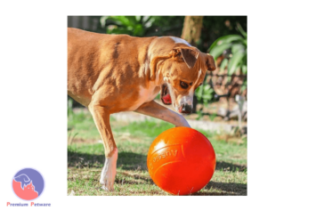 AUSSIE DOG STAFFIE BALL