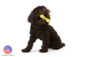 WEST PAW ZOGOFLEX HURLEY BONE TOY
