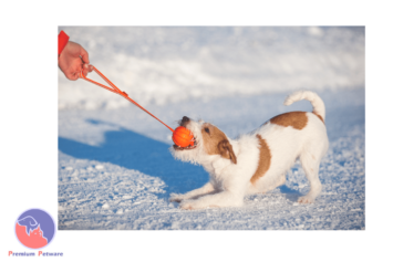 Liker Line Jack Russell