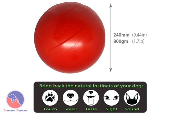 AUSSIE DOG ENDURO LARGE