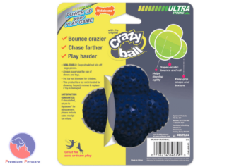 Nylabone Crazy Ball