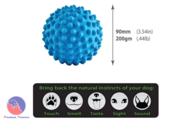 Aussie Dog Catch Ball Blue