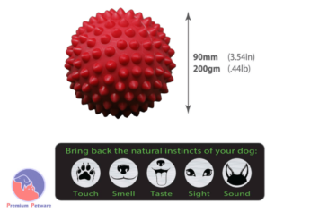 Aussie Dog Catch Ball Red