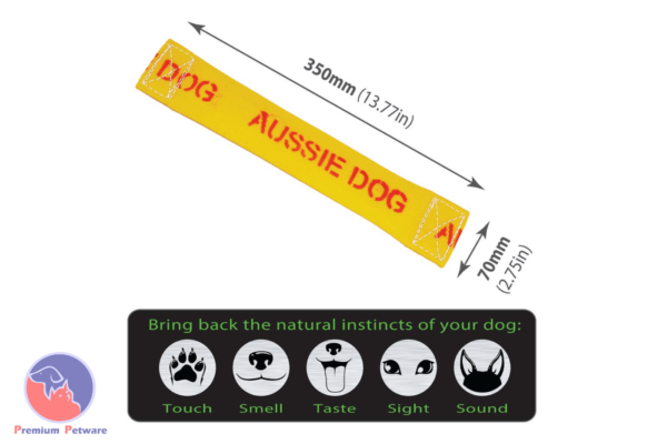 Aussie Dog Get It Large