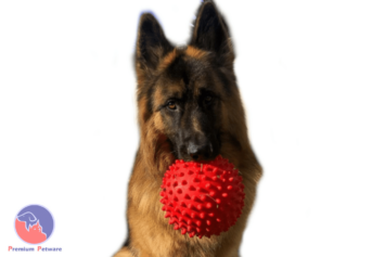 Aussie Dog Mitch Ball Red