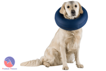 Trixie Inflatable Protective Collar
