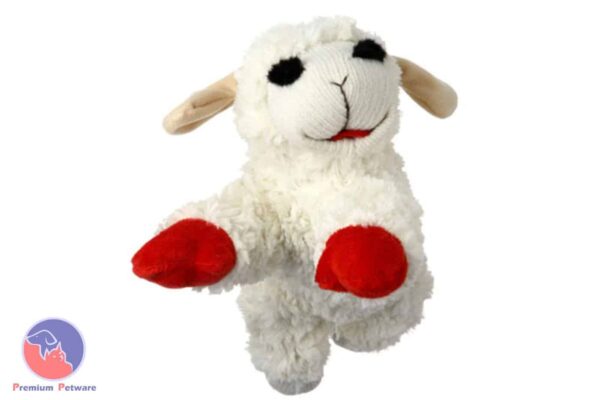 Lamb Chop