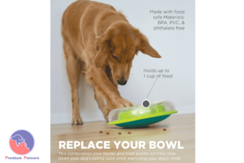 Wobble Bowl
