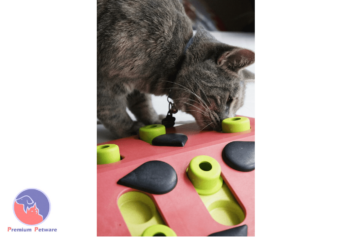 Petstages Melon Madness