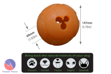 AUSSIE DOG BUDDY BALL