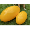 Aussie Dog Footy Feeder