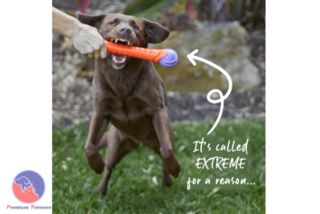 Kazoo Extreme Play Chew Stick