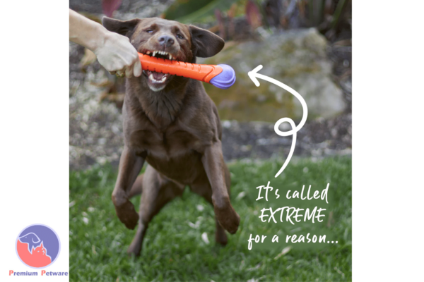 Kazoo Extreme Play Chew Stick