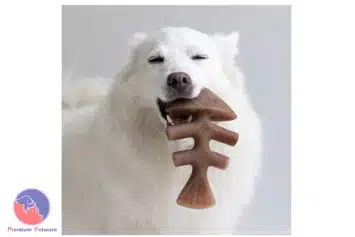 Benebone Fishbone Chew Toy
