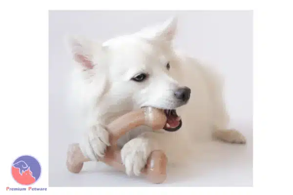 Benebone Wishbone Chew Toy - Chicken