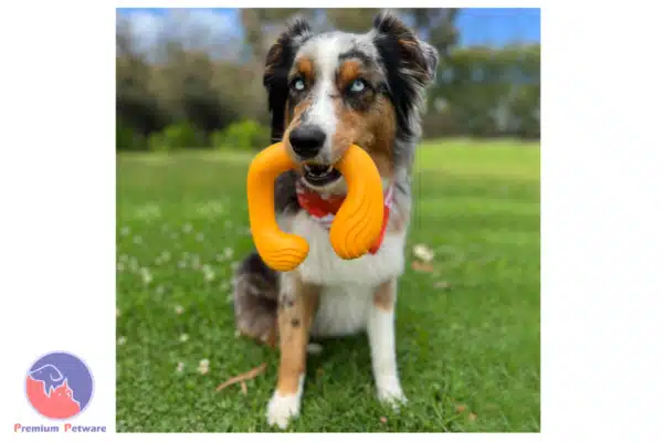Nylabone C-Shuu