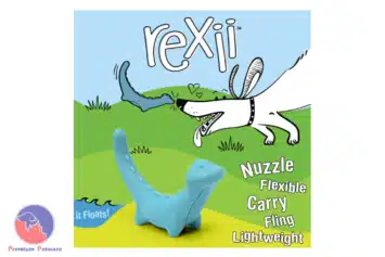 Nylabone Creative Play Rexii