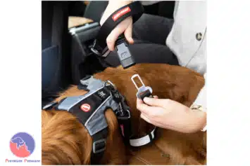 EzyDog Click Leash